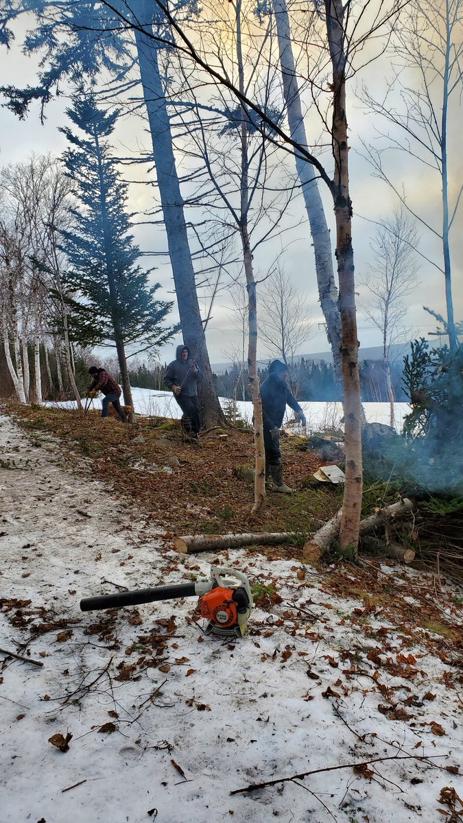 Max Finchem tweet media