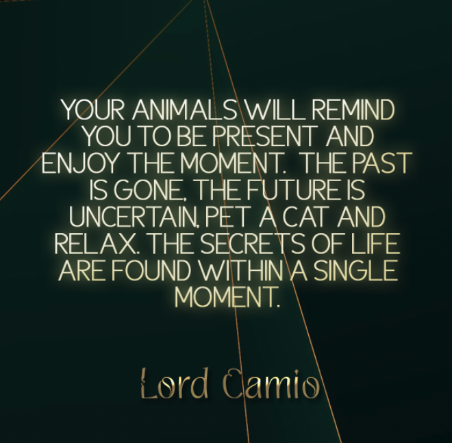 SatanandSons's tweet photo. Lord Camio knows animals, especially pets. Listen to his words and you may find yourself with a deeper connection with animals.

#demon #demonosophy #demonolatry #demonworship #demonwork #spiritwork #occult #goetia #demons #ladybune #bune https://t.co/ztnOhFLPuu