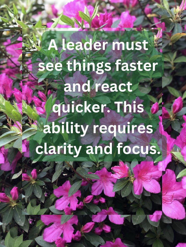mattgillis's tweet photo. A leader must see things faster and react quicker. This ability requires clarity and focus. #Reaction #clarity #Focuse #mattgillis https://t.co/E52M2Urghv