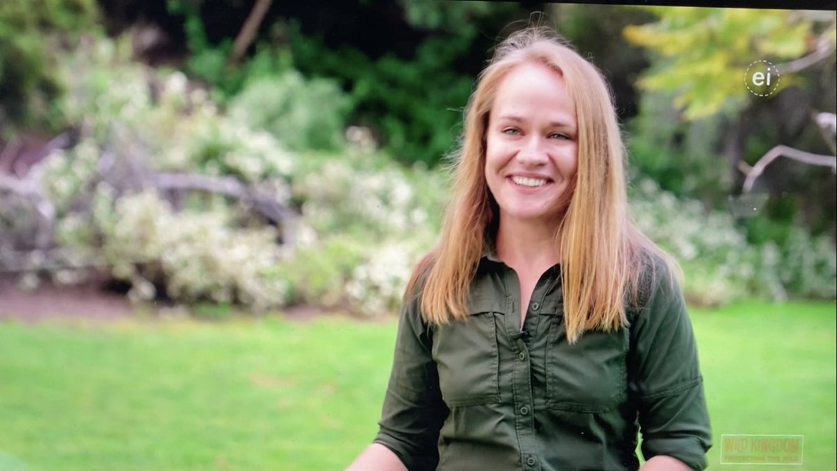 EmilyFairfax's tweet photo. Want to learn about #beavers, beaver relocation, and beaver dam analogs? 

Watch the most recent episode of @WildKingdom with @RaeWynnGrant feat myself and so many cool folks in the beaver world, including my brilliant masters student &amp; Tulalip Beaver Project lead, @wildmalves! https://t.co/Mht4qncCng
