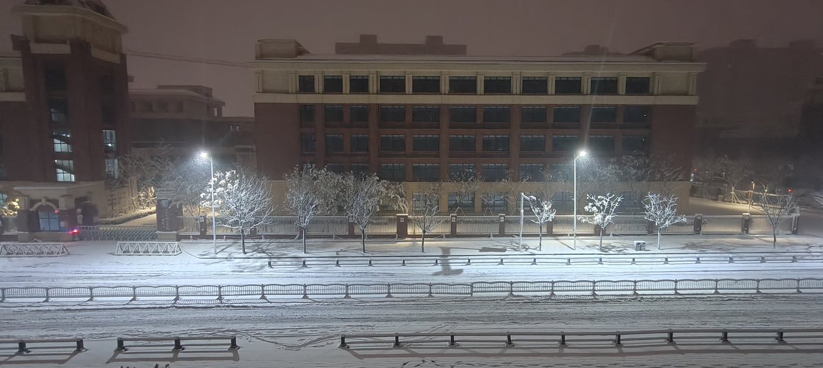 好久不见这么大的雪了
