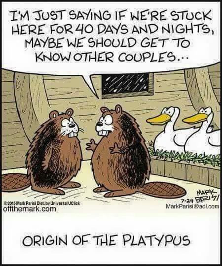ablueview's tweet photo. #SundayFunnies

#SomethingCompletelyDifferent #MakesYouThink #SundayFunday #ABlueView https://t.co/uC7wzAjFRc