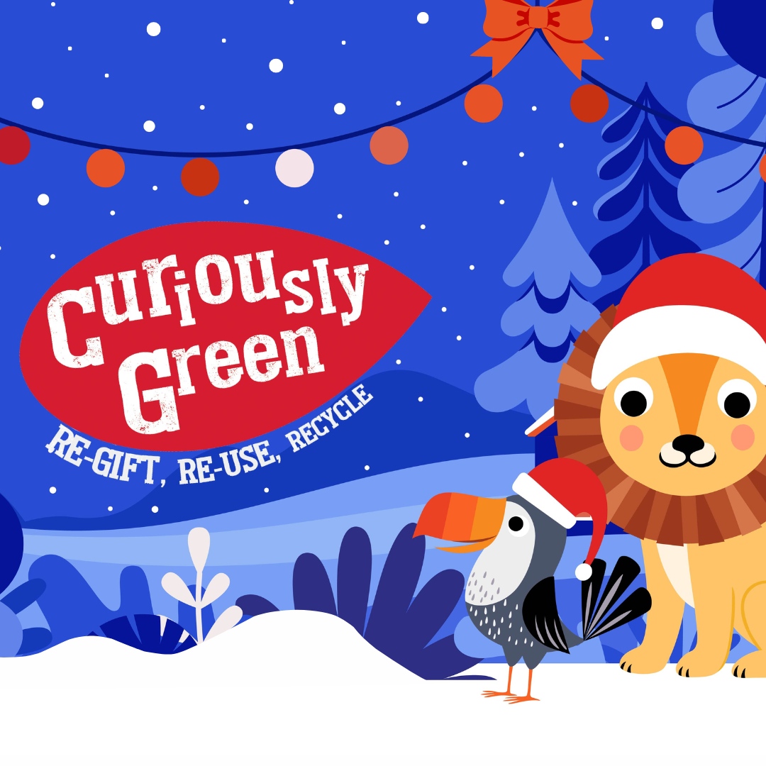 CUL_UK's tweet photo. 💚Our Curiously Green webpage has had a festive makeover!💚

⭐Check out our website to learn how to make some Christmassy gift tags from your old, well-loved books. 

https://t.co/z71dX8Q048

#reuse #recycle #regift #curiouslygreen https://t.co/xQVGRPp3vi