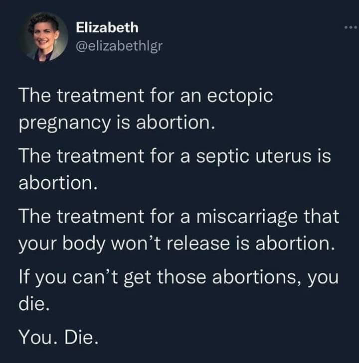 Red State Rebel Resists (@resistanceinred) on Twitter photo 