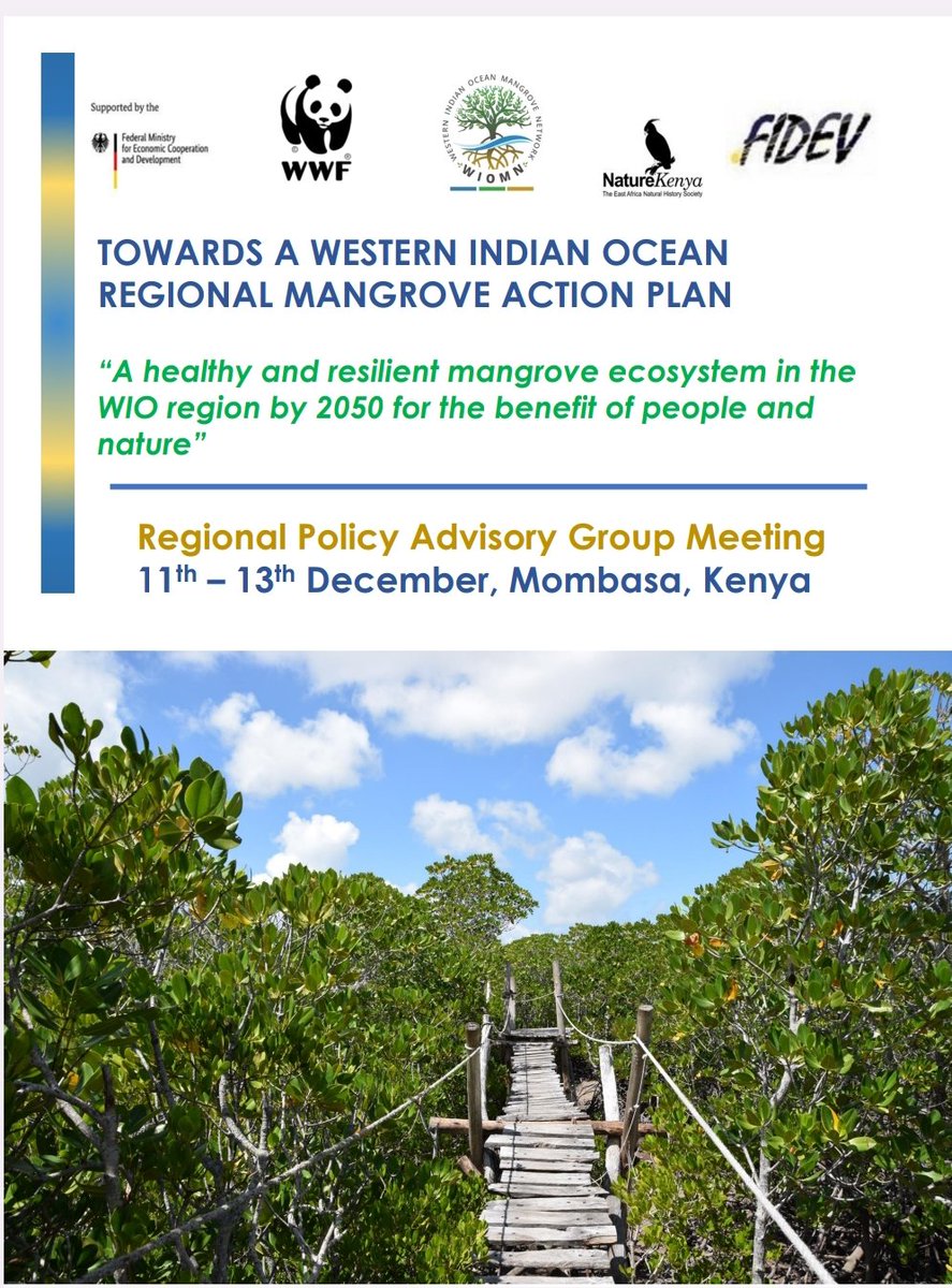 Towards a Western Indian Ocean Regional Mangrove Action Plan for enhanced mangrove resilience in the WIO Region
