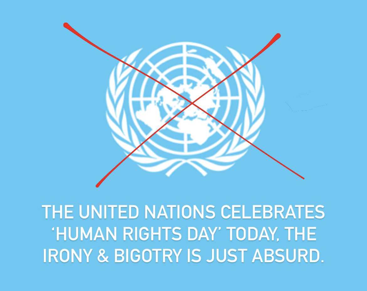 oshabrawy's tweet photo. UN: Useless Notions.
@UN #ceasefire #FreePalestine #CeaseFirelnGazaNOW https://t.co/9qRdzd2DYL
