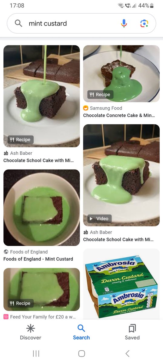 Why is this not available in supermarkets 🤷🏻. #Mintcustard. #Schooldinners #England