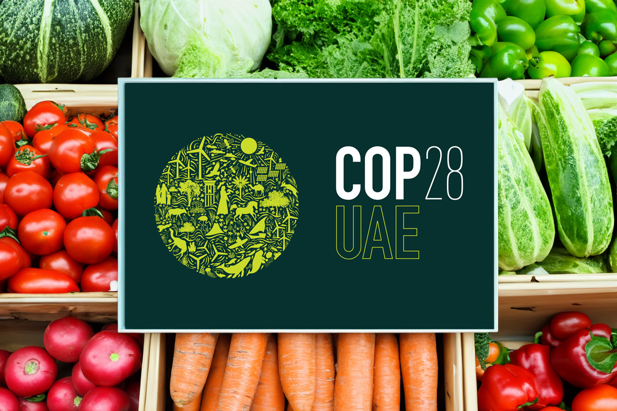 As expected, a busy busy Food, Agriculture and Water Day at #COP28 - with several new important toolkits, reports, strategies and alliances. There's a lot to digest, but here are our initial responses 👇 wwf.panda.org/?10384916/COP2…