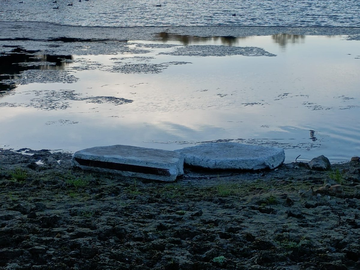 Verdemar_EA's tweet photo. #verdemar EA denuncia que la mala planificación echa a perder la hibernación del águila pescadora en Algeciras. 
Datos científicos constatan que el águila pescadora (Pandion haliaetus) hiberna en la Laguna Huerta Las Pilas desde 2021. https://t.co/QLx3A5EGib