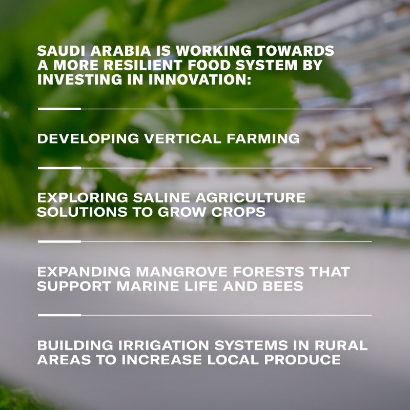 SGISaudi's tweet photo. Highlights from today's #SGITalks session on "Boosting Food Security in the Face of Climate Change”, which was filled with insights from Prof. Ahmed Ali Alghamdi, Consultant at the @ncvcksa

Watch the video▶️