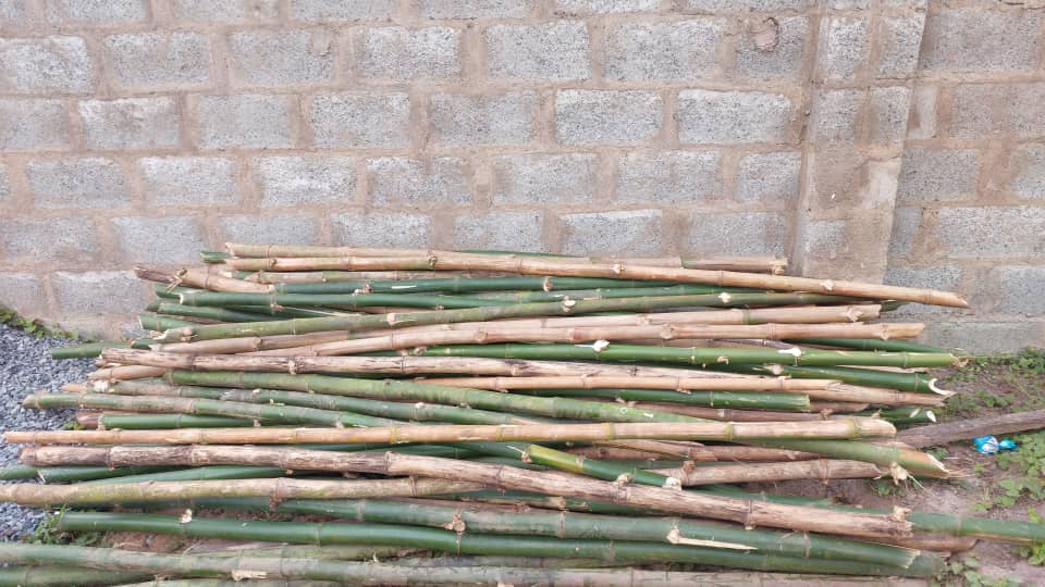 The stage is getting set for an urban mini farm for a client in Ijebu Ode, Ogun state. 
.
.
.
.
PS: I am open to farm setup within and outside Nigeria.
Wish me well on this project 🙏
#urbanfarming
#naijaforester
#vegetablefarming