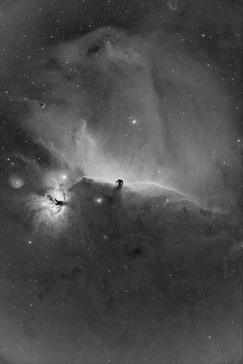 Horsehead - 3.5 hours Ha 2600mm on the RASA last night #astrophotography #Astrophotography