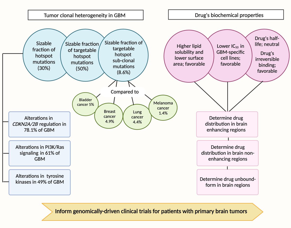 Maria Fatteh tweet media