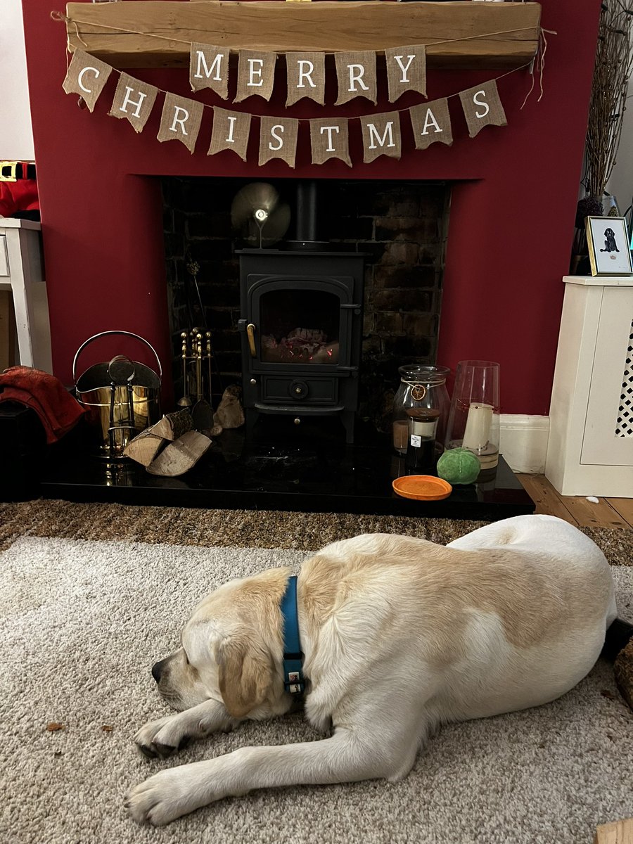 All set for the festive period. 

#woofwoof