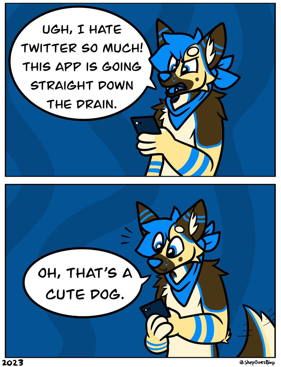 ShepGoesBlep's tweet image. Dog