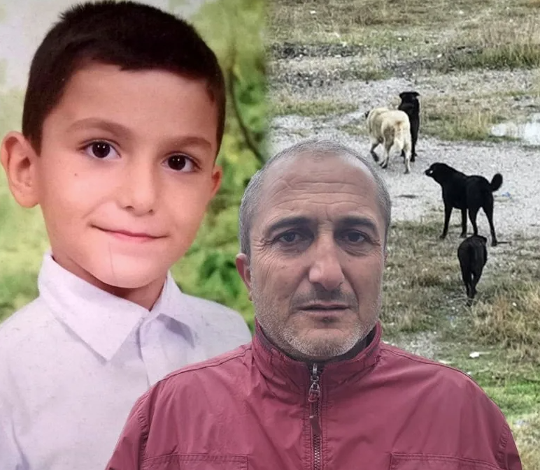 BBP Lideri Mustafa Destici'den, köpek sorununa çözüm önerisi:

"1932 yılında Atatürk'ün onayı ile bir tamim yayınlanıyor.

Tamimin birinci maddesi şu: 'Sahipsiz olan bütün köpekler ithaf edilecektir.' 

İkinci maddede 'Şehirlerde sahipli olarak gezen ya da gezdirilen köpeklerin