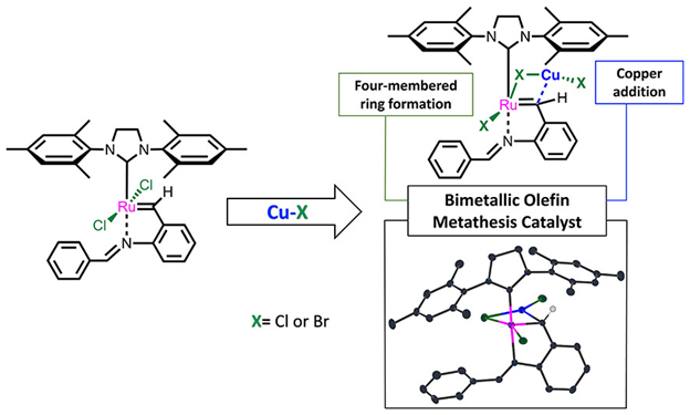 Orgmet_ACS's tweet photo. Our latest article and recommended weekend reading worth a moment of your time: Exploring the Formation of Copper–Ruthenium Bimetallic Complexes in Olefin Metathesis, from Schulz and company @SchulzLabVT. https://t.co/I6d5kvPsJZ https://t.co/G6oZUk4xI0