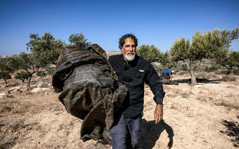 Well, that's good to know. Rabbis protecting olive harvests in the #WestBank msn.com/en-gb/news/ukn…