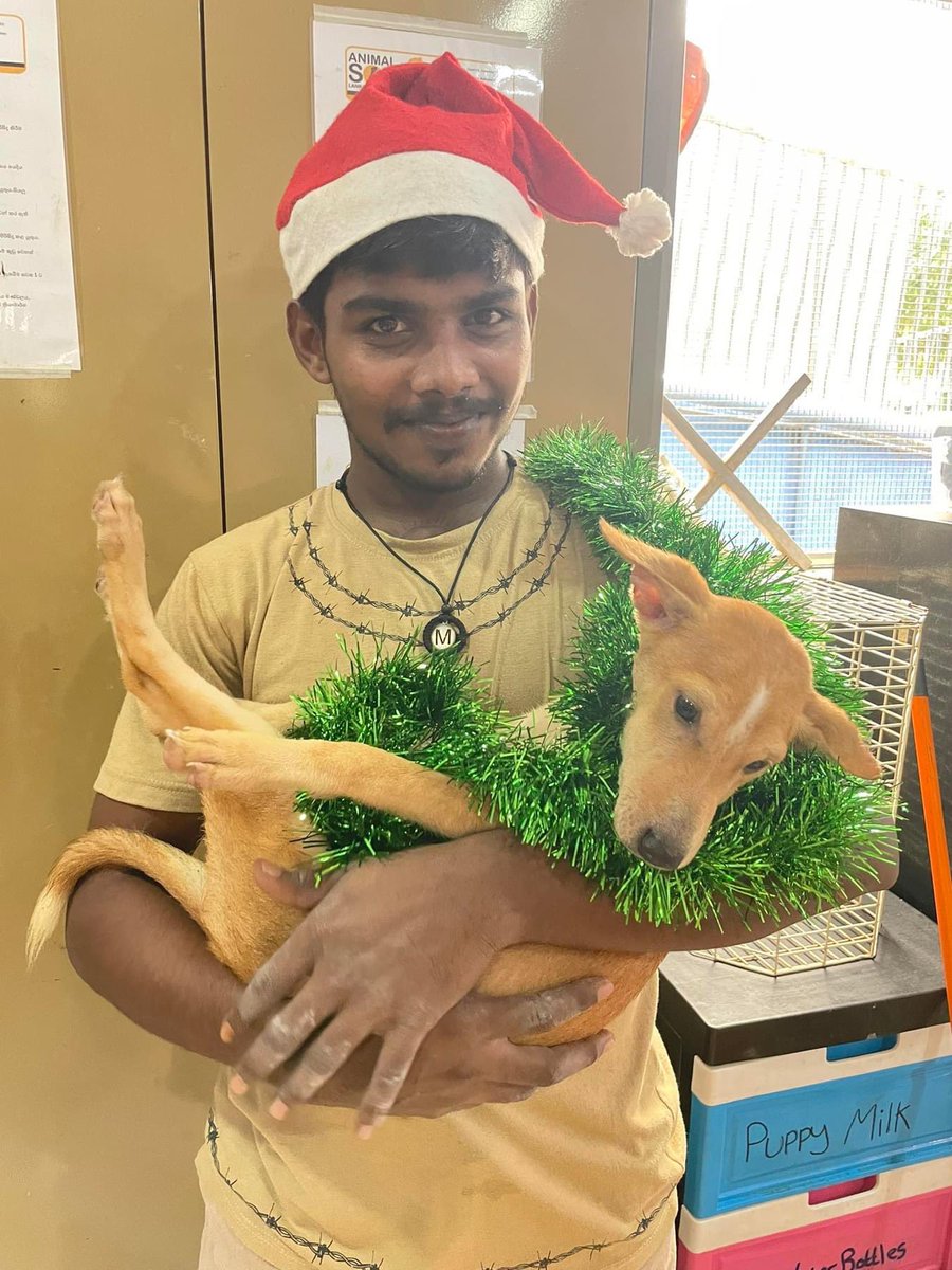 We would like to say a heartfelt thank you to <a href="/rickygervais/">Ricky Gervais</a> for choosing to donate to Animal SOS Sri Lanka 🧡

Words cannot express how thankful we are for this incredible donation.

We have had a very worrying time of late, wondering how we would continue to keep the sanctuary