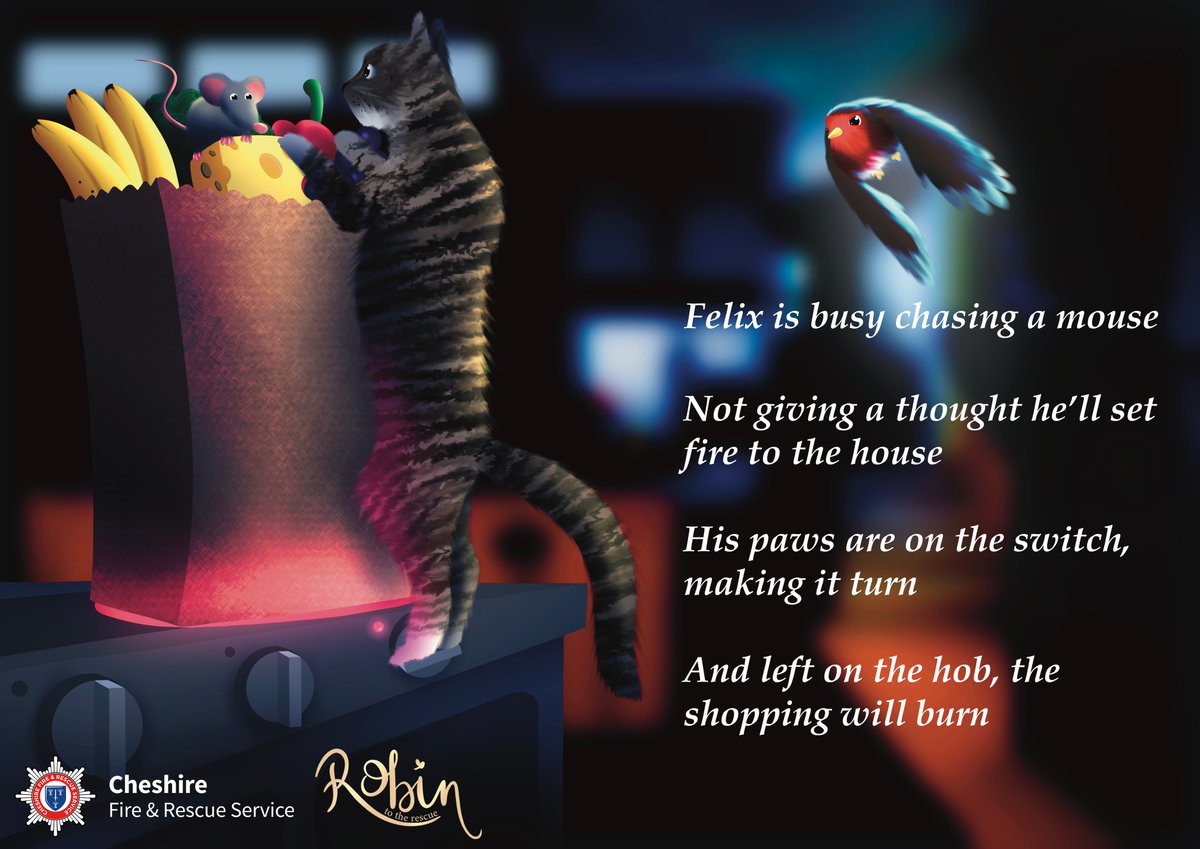 Keep your hobs and ovens completely clear - animals can and do accidentally turn them on.

#RescueRobin ➡️  orlo.uk/IajOH