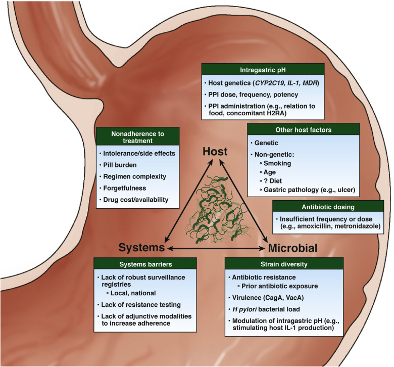 This week's most viewed article:

AGA Clinical Practice Update on the Management of Refractory Helicobacter pylori Infection: ow.ly/Loo550QgWo8

By authors from @VUMC_Medicine, <a href="/MayoClinic/">Mayo Clinic</a>, and <a href="/BrownMedicine/">The Warren Alpert Medical School</a>

#Hpylori #PPI #antibiotics