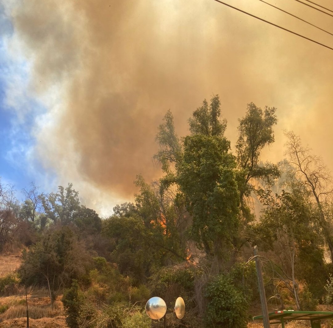 bayron_lopez01's tweet photo. !!AHORA!! Bomberos #Paine declara 3ra alarma de incendio forestal por fuego en gran extensión de pastizales y árboles con rápida propagación en apoyo C.B Vecinos @reddeemergencia @Bomba_Decima @BomberosdeChile @Pabl0Manzanares https://t.co/o3jomGZi6n