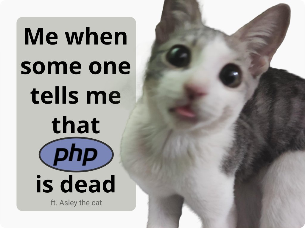 JunaidQadirB's tweet image. #php #phpisdead #memes #programming #CatsOfTwitter