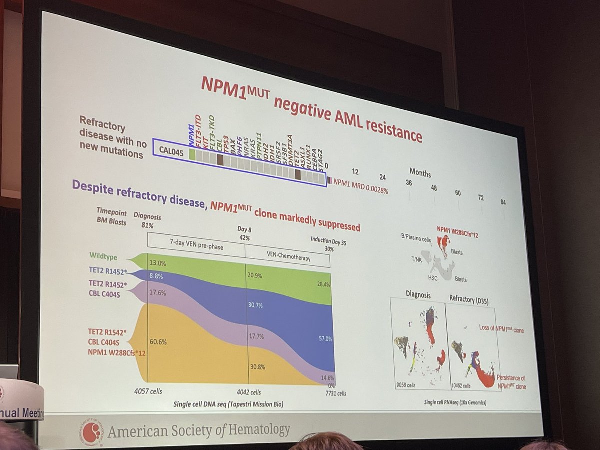This was an intriguing and beautifully presented abstract: AML keeps us on our toes with clonal complexity and mechanisms of relapse following ven exposure in elderly NPM1 AML. Great work!