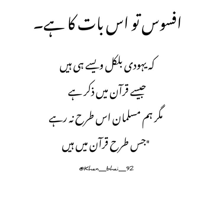 𝐂𝐡𝐮𝐥𝐛𝐮𝐥𝐢👑 tweet media