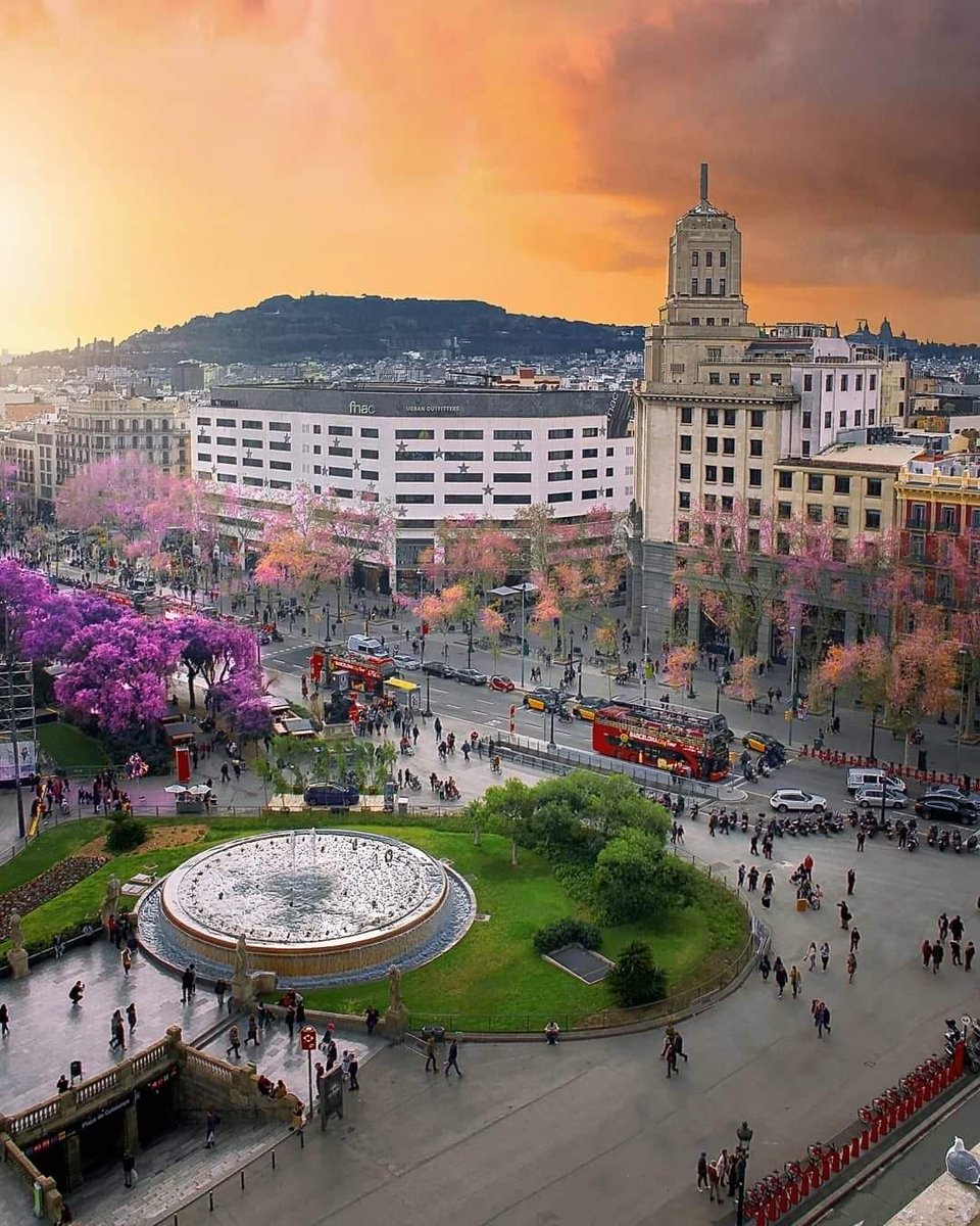 vactravels1's tweet image. Life is short, go to Barcelona! ✈️🌎️🤩
📸 @carles0914
#barcelona #barcelonacity #wanderlust #travel #spain #travelgoals #globetrotter #santjordihostels #backpackers #theglobewanderer #adventures #passionpassport #traveladdict #aroundtheworld #traveller #goodvibes