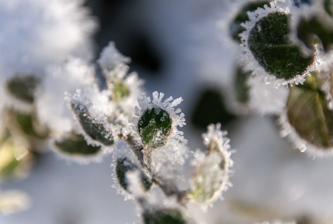 Marion Fiedler tweet media