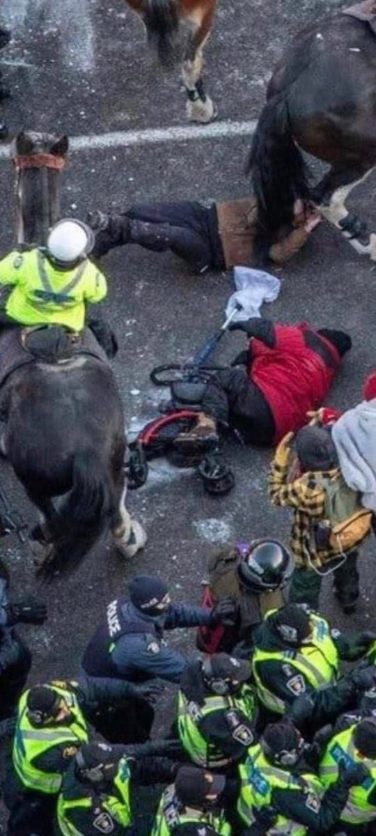 Buffbabe3's tweet photo. @JustinTrudeau Tell me more about how the Liberal government respects human rights. 🤡 

https://t.co/ge6li5rtAc https://t.co/N7dAuqiFC8