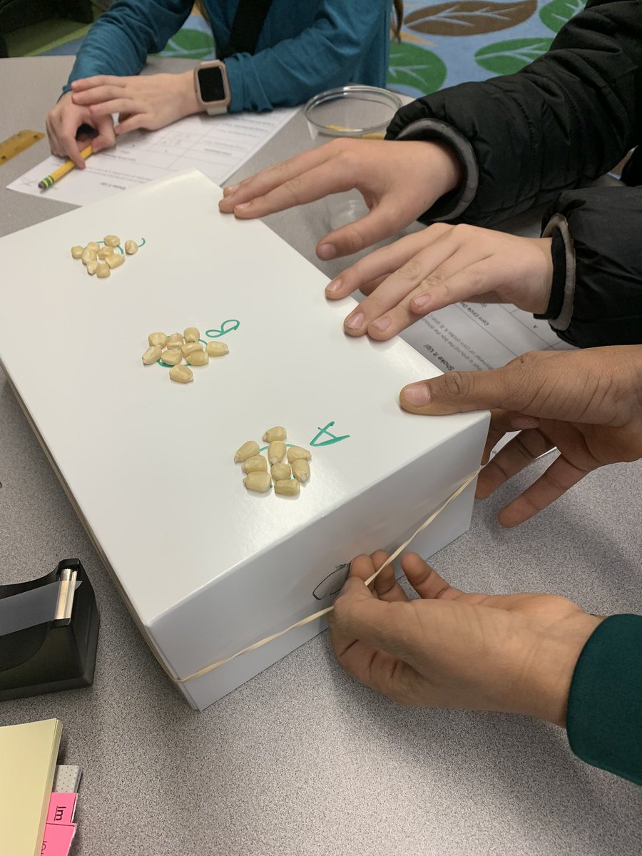 Mary Lattin tweet media