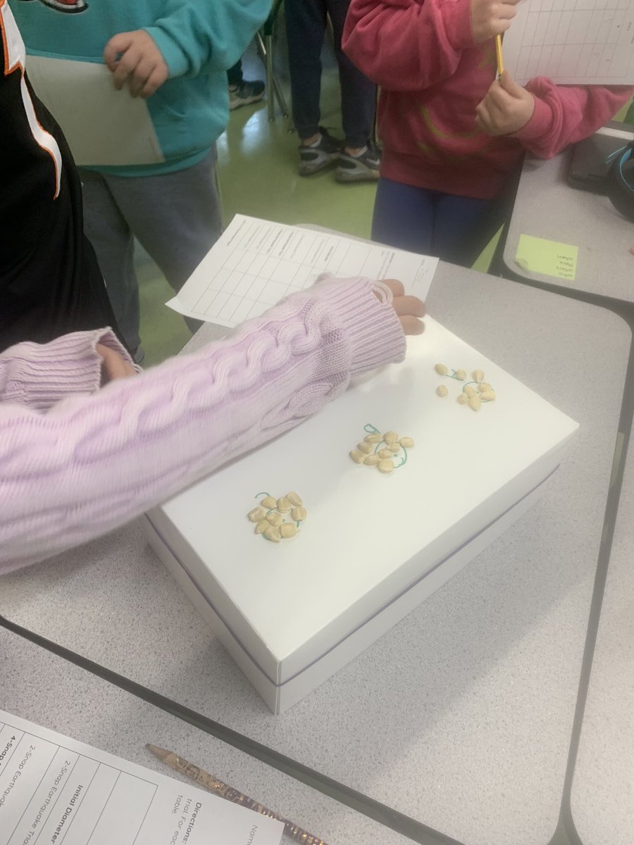 Mary Lattin tweet media