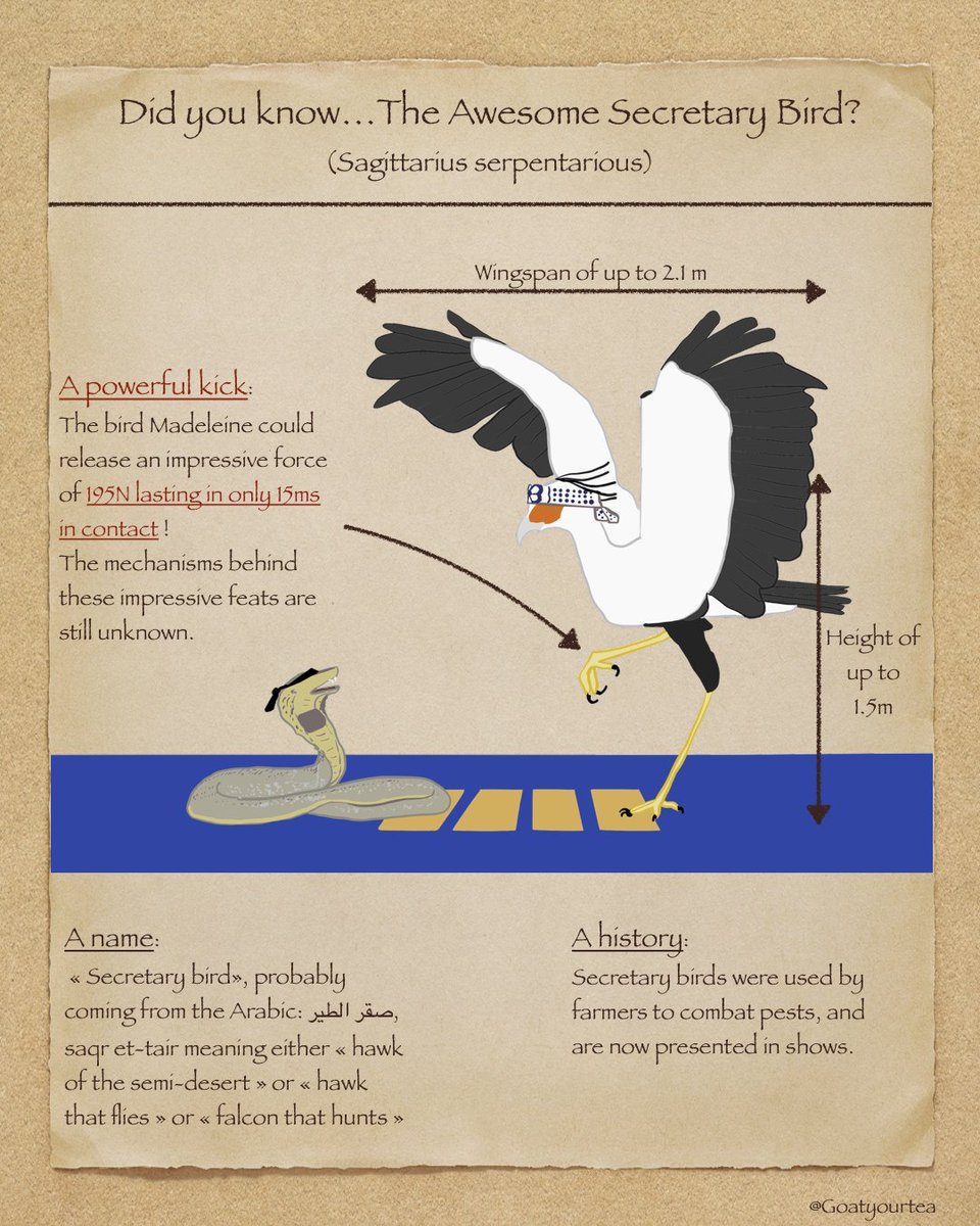 Team Miyagoatea tweet media