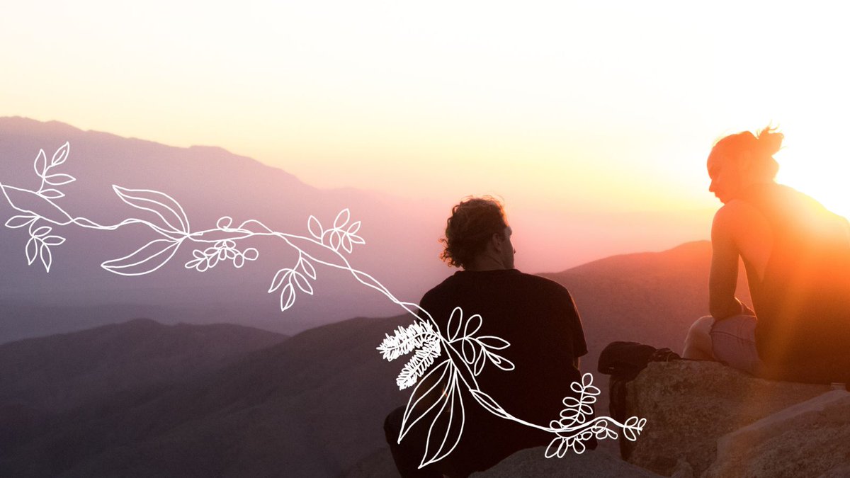 For our eleventh #Advent2023 devotional artist Mish Graham reflects on the good news of Jesus and the common home we find in Him.
👇
commongrace.org.au/advent_common_…