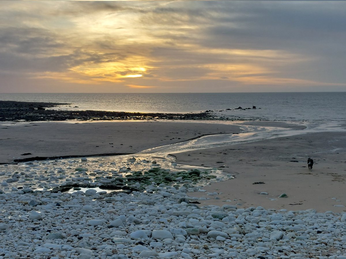 Kate Couzens tweet media