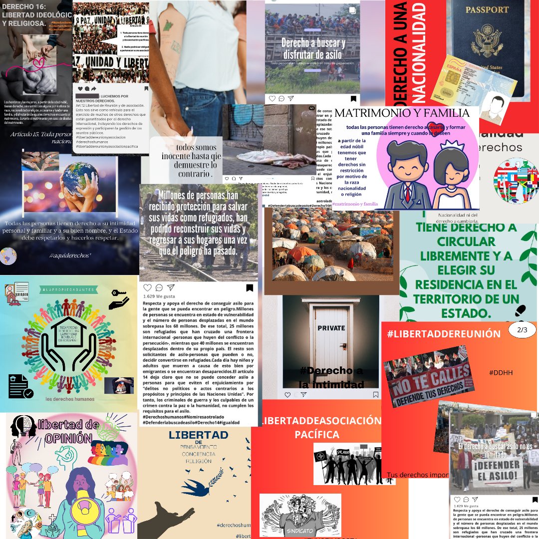 Colegio Mater Purissima tweet media