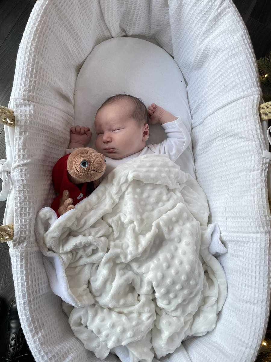 Jayne Frances Stead tweet media