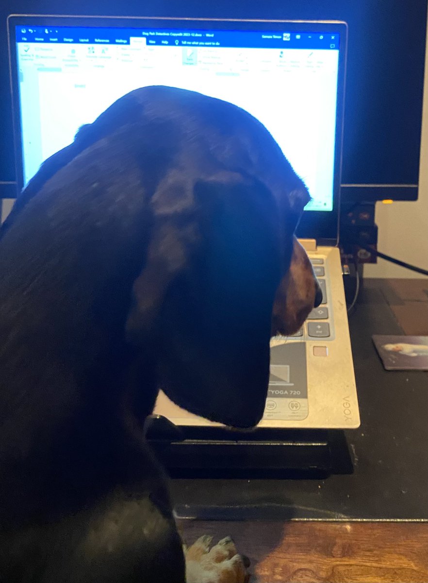 TheBlakeMara's tweet photo. Just sent off the latest draft of #theDogParkDetectives! Many, many thanks to Cari Rosen and @georgie_lei_ for such a detailed&insightful #copyedit. Not sure I’ve ever seen so many comments before 😱 - BUT each one makes the story stronger. TY🙏🏻🙏🏻 @simonschusterUK @katherinecrime https://t.co/OrrTGGebb0