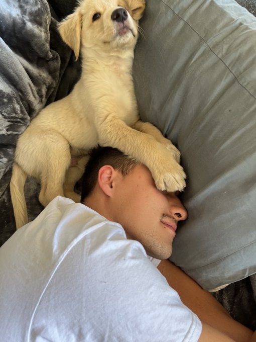 then &amp; now https://t.co/nQ1bNy6DrW