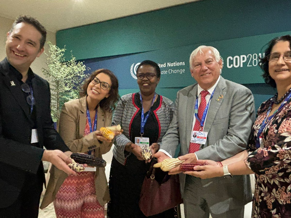 vmva1950's tweet photo. #COP28UAE En reunión con @CGIAR resaltamos el liderazgo y apoyo en el desarrollo del modelo #MasAgro en México, que ahora se está replicando en África y Centroamérica. https://t.co/GdVbvI6RSx