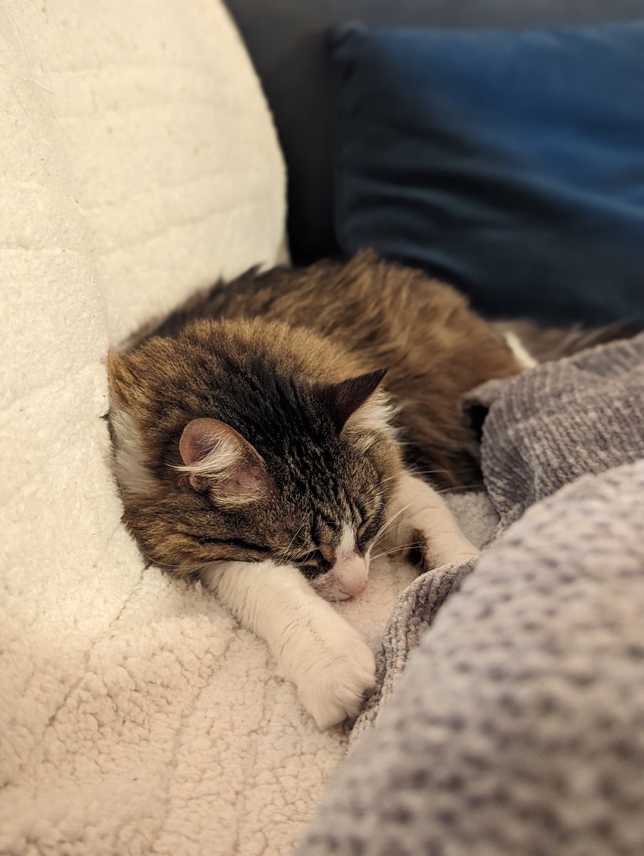 Eric Christopher tweet media