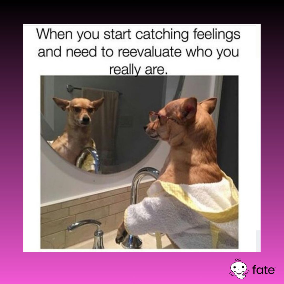 Fate (@thefateapp) / Posts / X