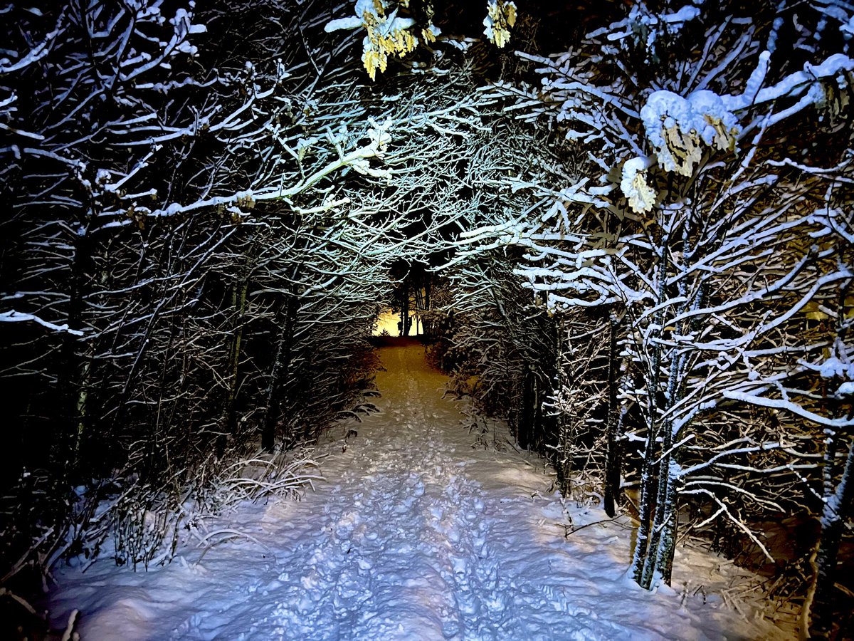 edgar dehli tweet media