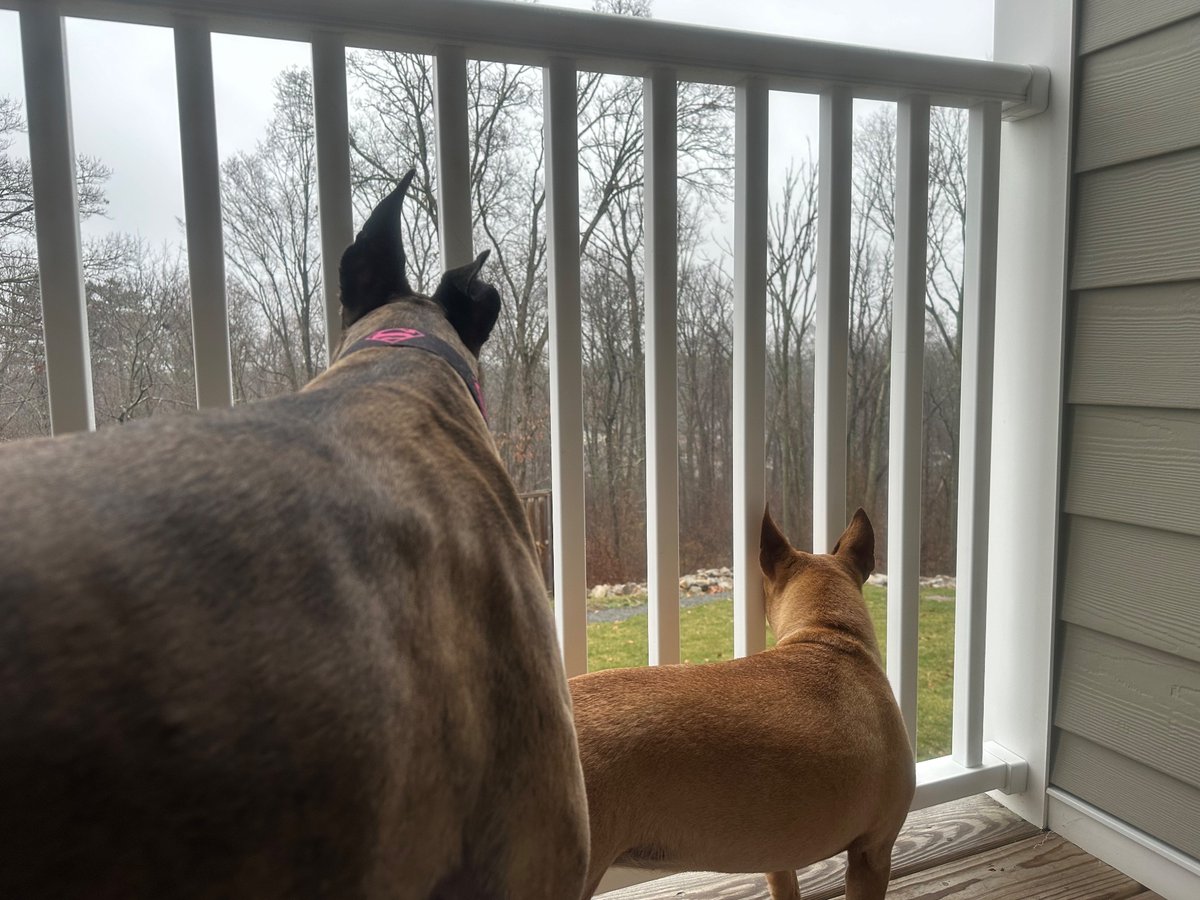 BoundarylayerB's tweet image. Can confirm it’s raining in Plainville @NWSBoston #mawx