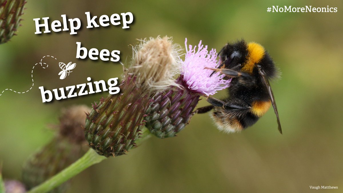 The Wildlife Trusts tweet media