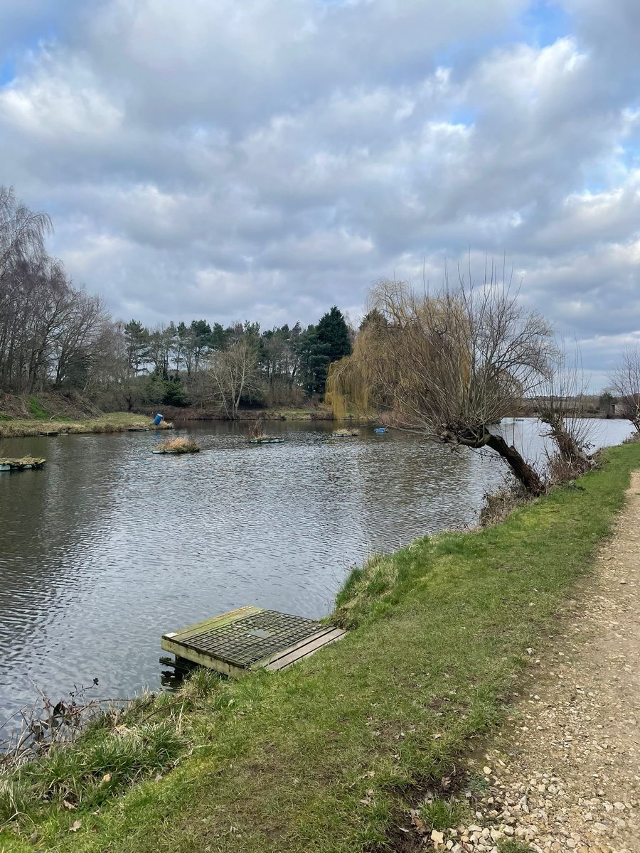 Linda Chibuzor tweet media