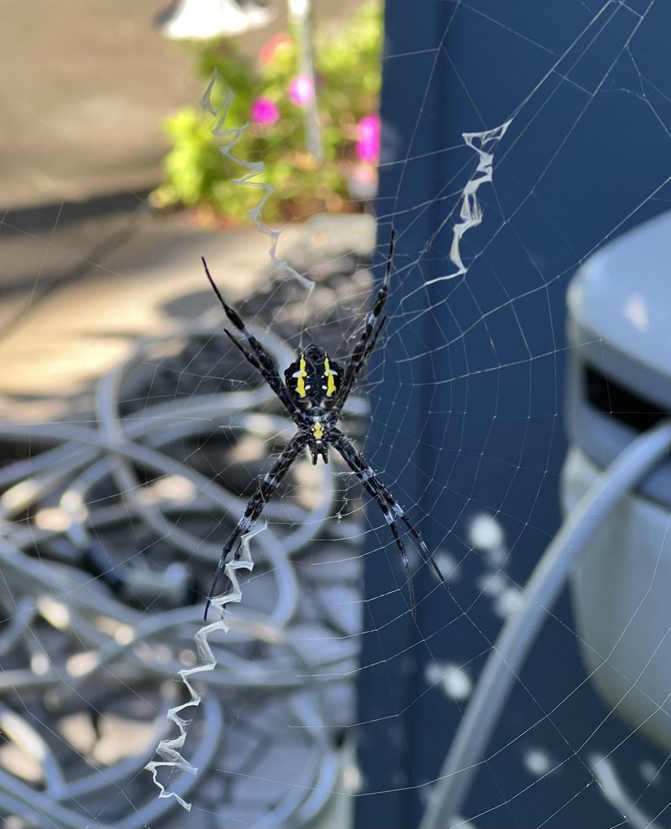 Jen Walton tweet media