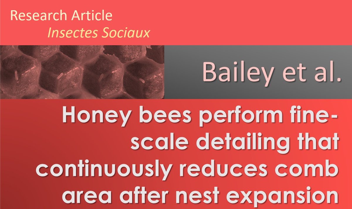 InsSociaux's tweet photo. The study by Bailey @csbailey128 and colleagues @SmithBeeLab @AztecaCecropia shows that the #nest of a #superorganism is not static, but alterations happen through constant #interaction of #workers with the structure.
Link: https://t.co/hwyubutVZC
@IUSSI_NAS @secbras @IUSSI_NWES https://t.co/ggiS6h4Mhv